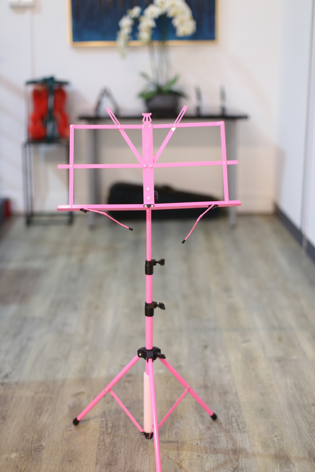 COLORFUL MUSIC STAND AND BAG - Image 2